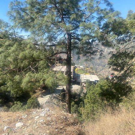 Aditya Homestay Dalhousie Bagian luar foto
