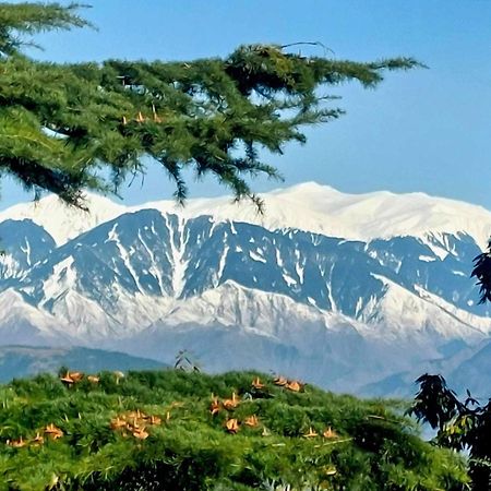 Aditya Homestay Dalhousie Bagian luar foto