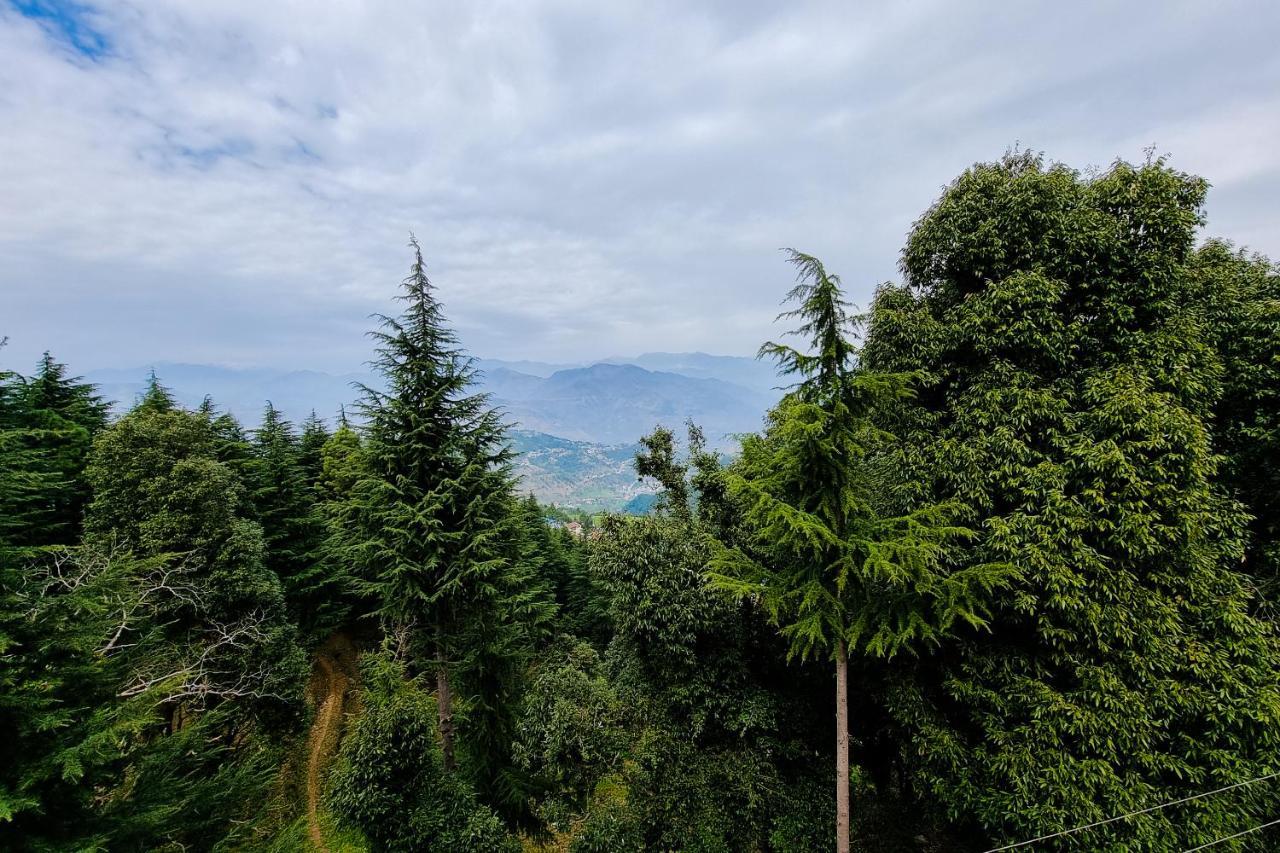 Aditya Homestay Dalhousie Bagian luar foto