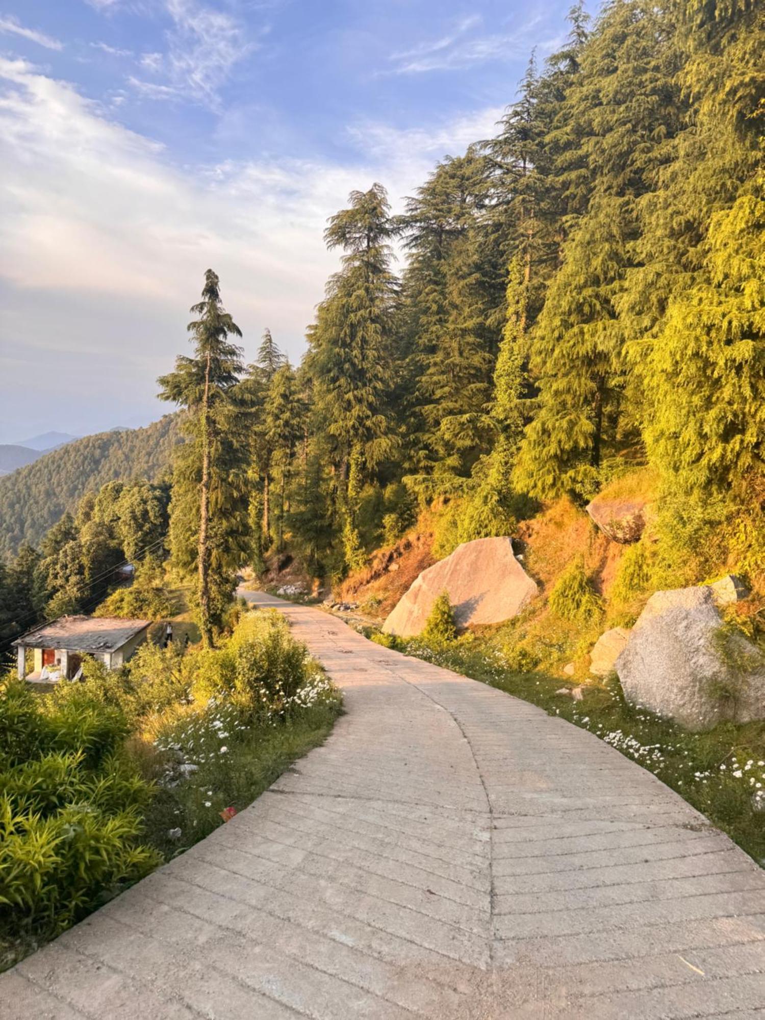 Aditya Homestay Dalhousie Bagian luar foto
