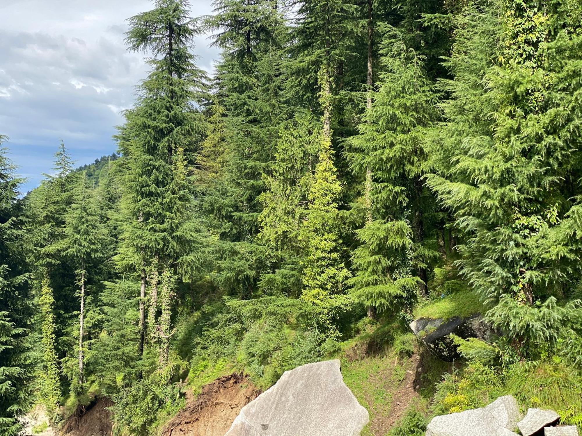 Aditya Homestay Dalhousie Bagian luar foto