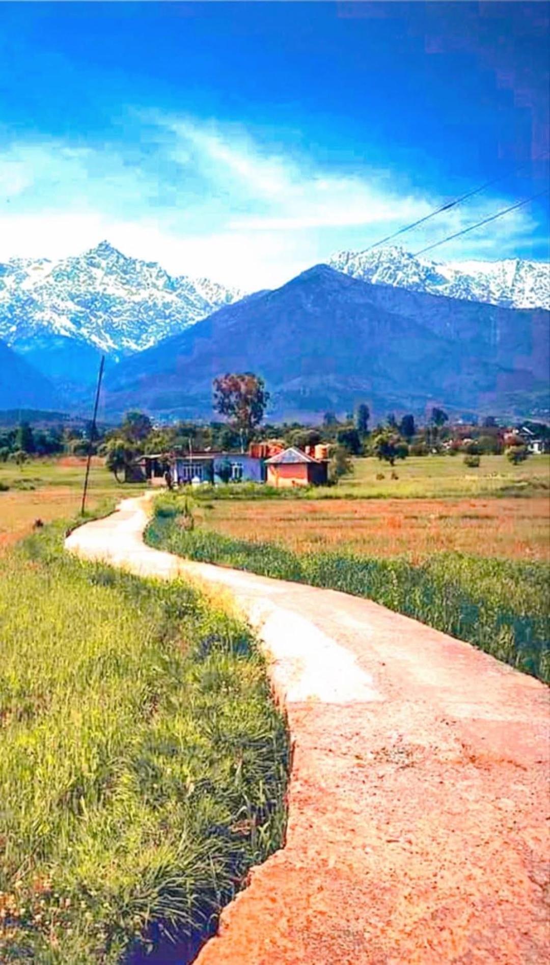 Aditya Homestay Dalhousie Bagian luar foto