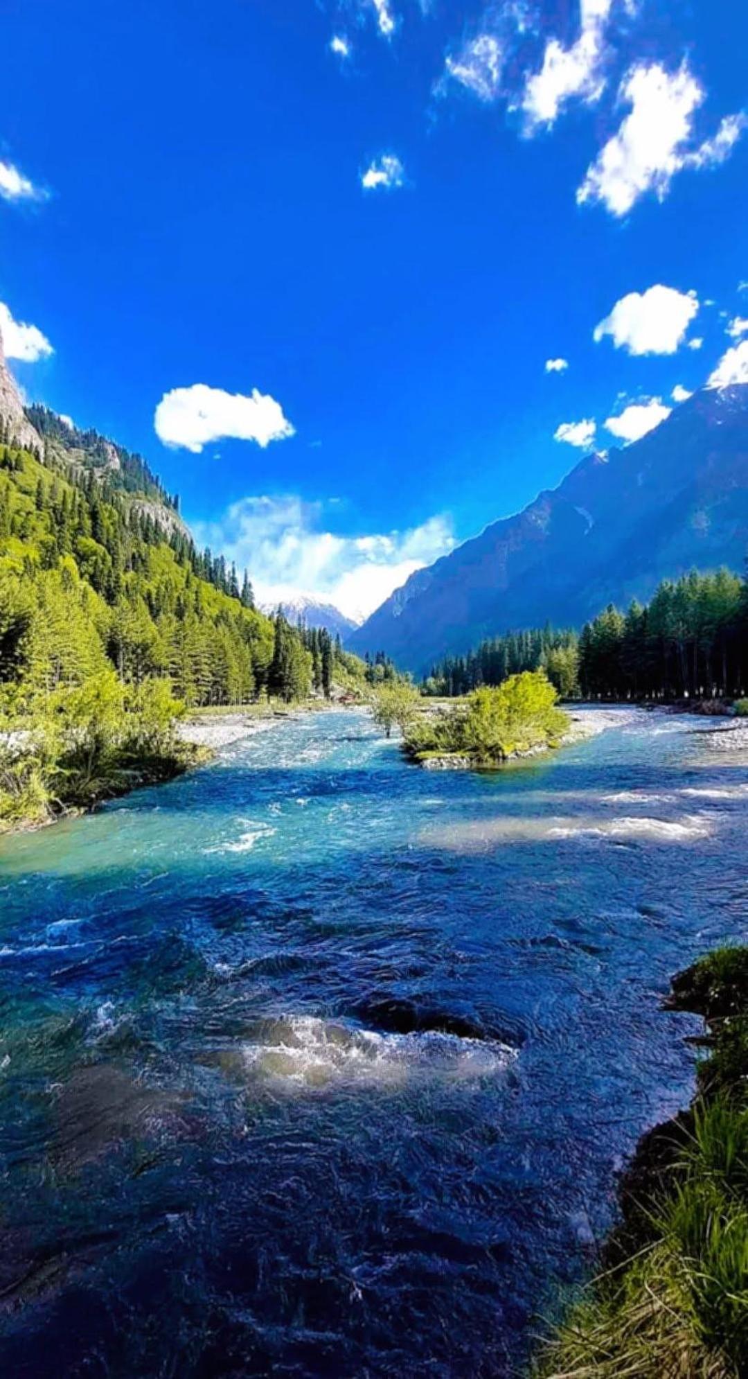 Aditya Homestay Dalhousie Bagian luar foto