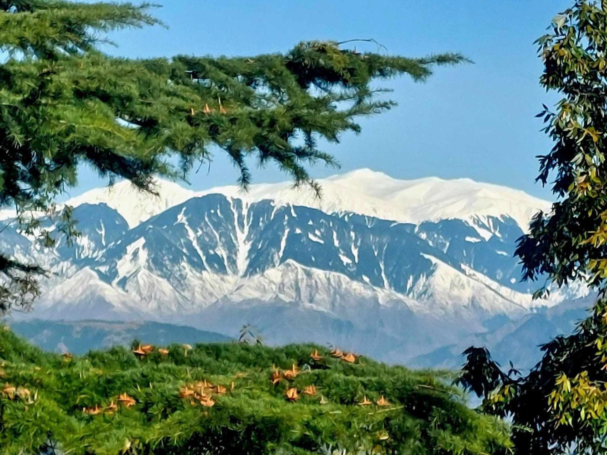 Aditya Homestay Dalhousie Bagian luar foto