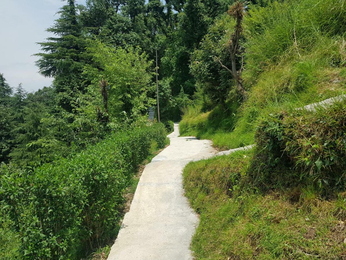 Aditya Homestay Dalhousie Bagian luar foto