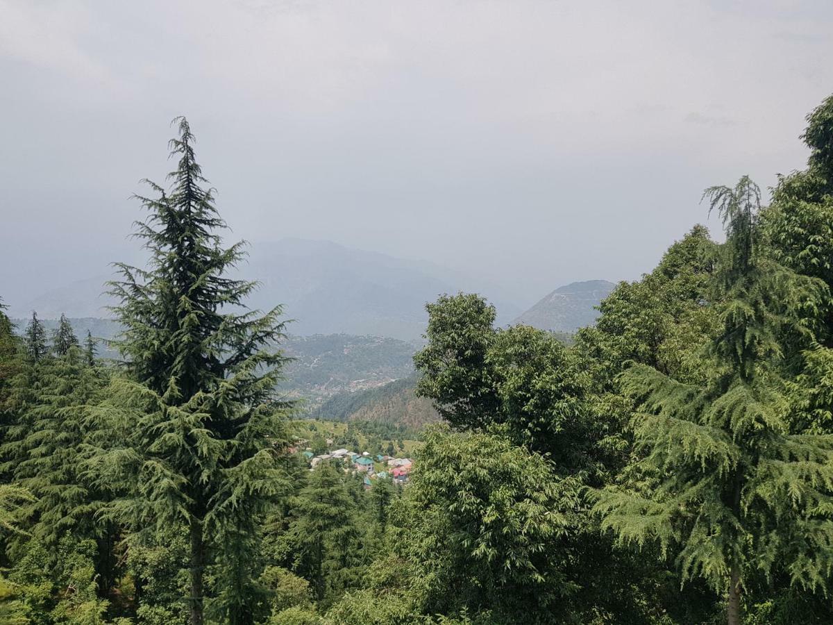 Aditya Homestay Dalhousie Bagian luar foto